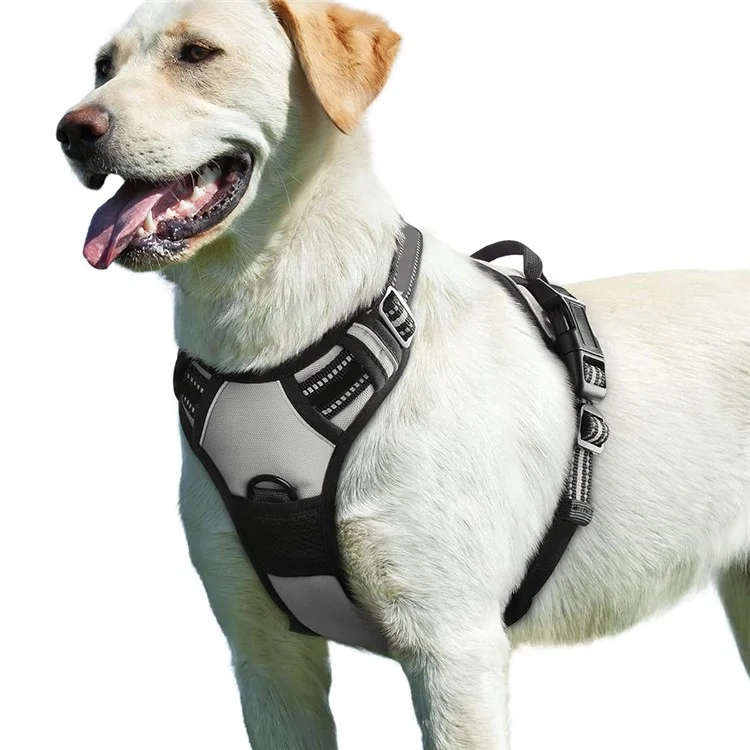 LDLC QS-111 Arnês para animais de estimação tamanho S Colete para cães e gatos Tecido Oxford Alça para o peito Reflexivo Respirável Ajustável - Rosa