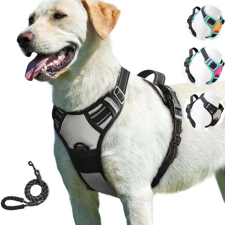 LDLC QS-111 Arnês para animais de estimação tamanho S Colete para cães e gatos Tecido Oxford Alça para o peito Reflexivo Respirável Ajustável - Rosa
