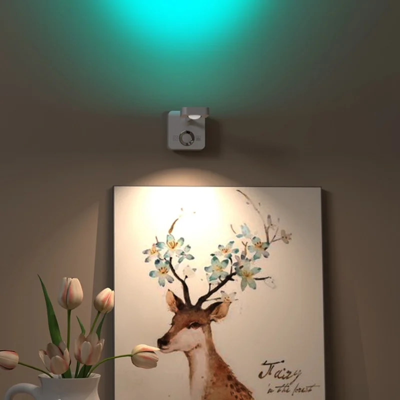 Motion Sensor Wall Art LED Spotlight for Paintings USB Rechargeable Dimmable Colorful Ambient Light