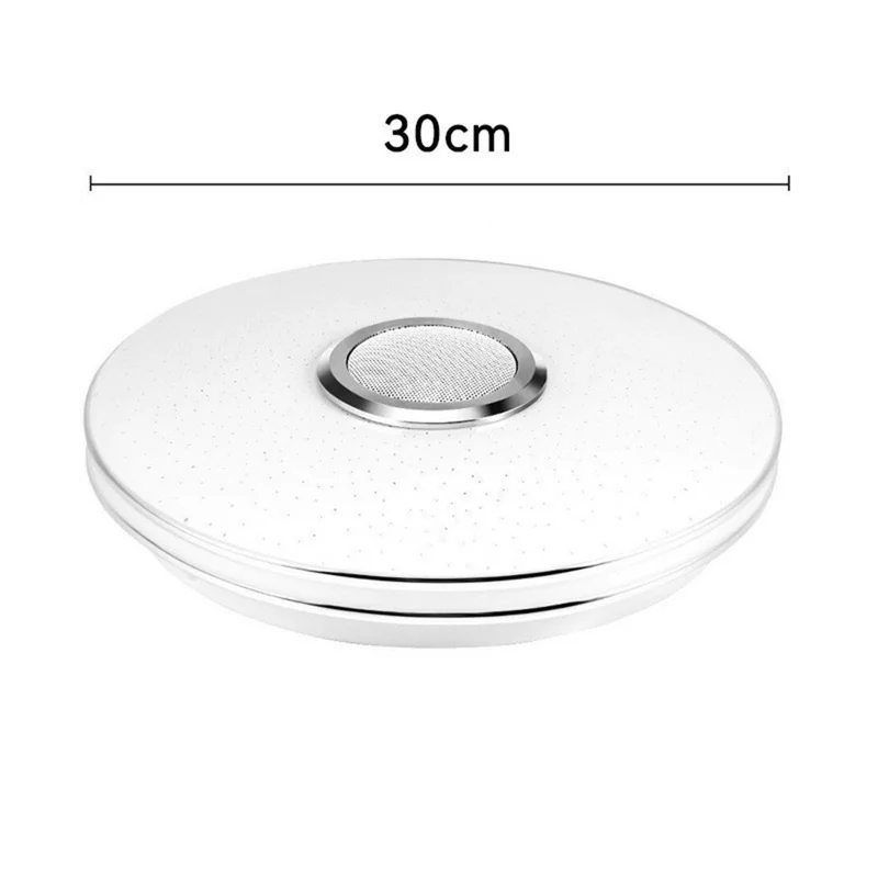 Smart Music Ceiling Light LED RGB Color Changing Lamp with Remote Control Speaker for Home Party - Double Silver Line