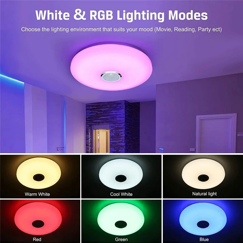 Smart Music Ceiling Light LED RGB Color Changing Lamp with Remote Control Speaker for Home Party - Double Silver Line