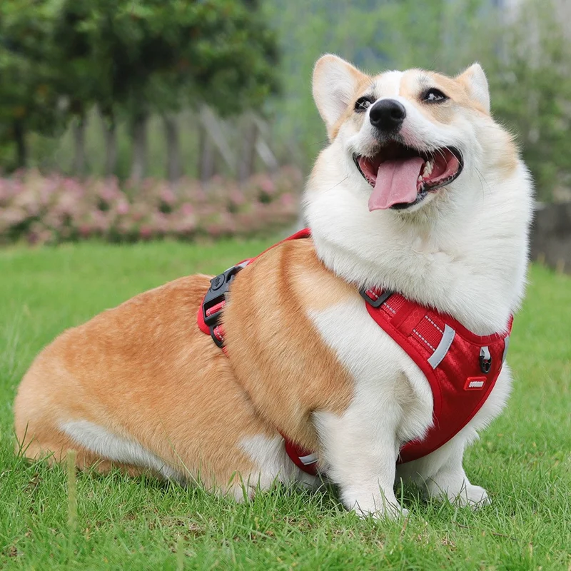 DUOMM HT-524 Breathable Pet Dog Harness Reflective Puppy Gift Safety Vest with Control Handle ST - Red / XS