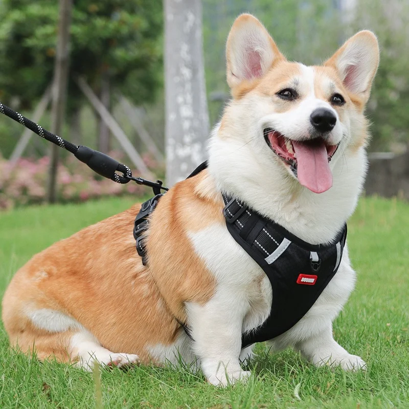 DUOMM HT-524 Breathable Pet Dog Harness Reflective Puppy Gift Safety Vest with Control Handle ST - Black / XL