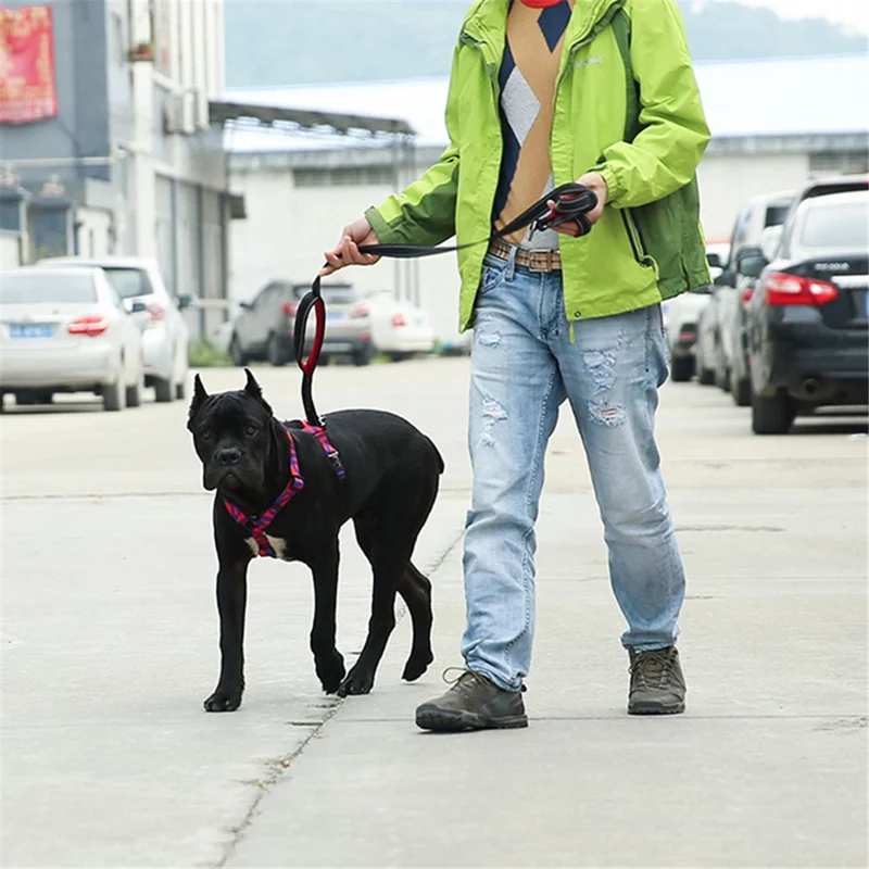 DODOPET H-Shaped Pet Gift Harness Colorful Print Dog Vest Strap with D Ring, Size M - Red+Blue