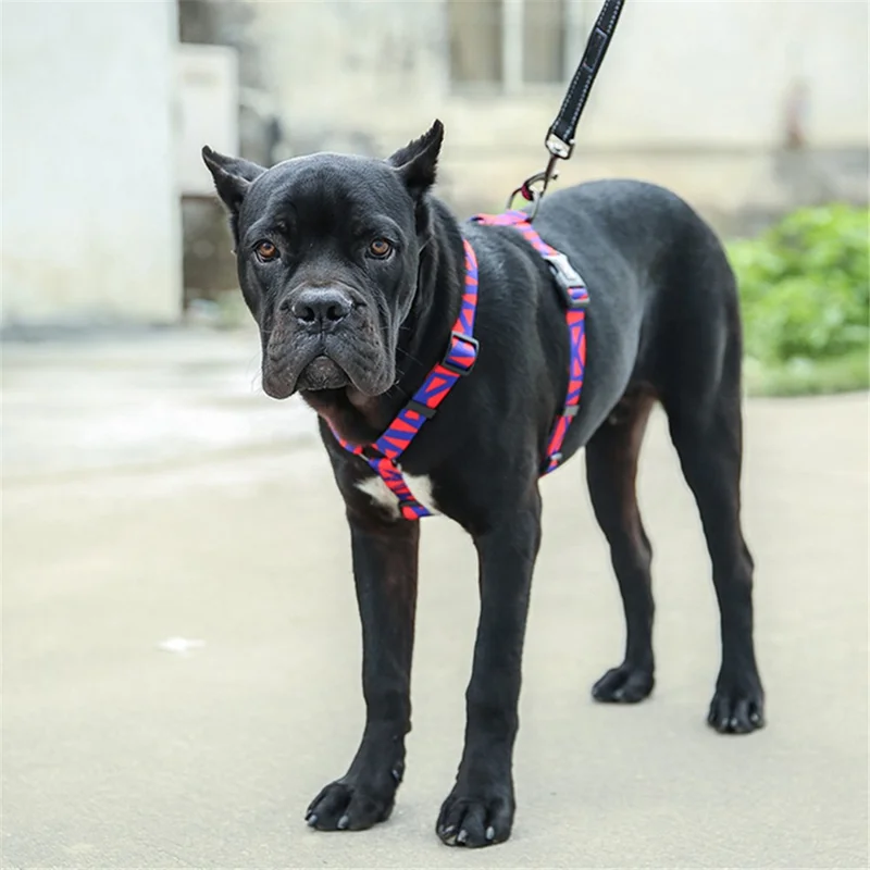 DODOPET H-Shaped Pet Gift Harness Colorful Print Dog Vest Strap with D Ring, Size M - Red+Blue