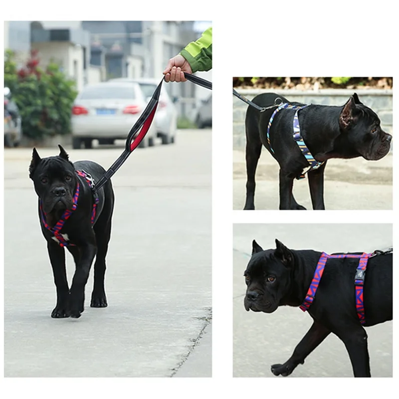 DODOPET H-Shaped Pet Gift Harness Colorful Print Dog Vest Strap with D Ring, Size M - Blue