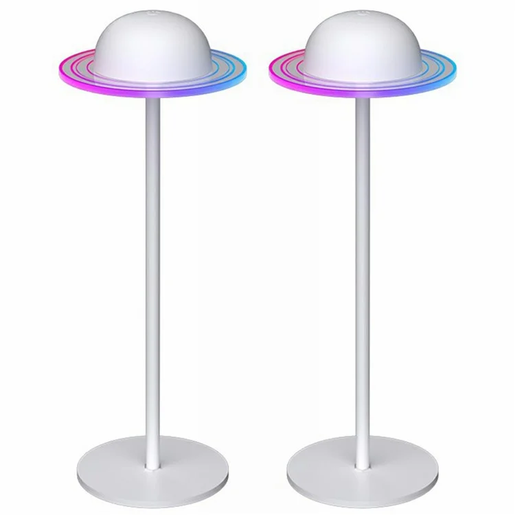 DX24025 2 wiederaufladbare Planeten-Tischlampen mit Touchsteuerung, Atmosphäre-Weinflaschenlicht - Weiß