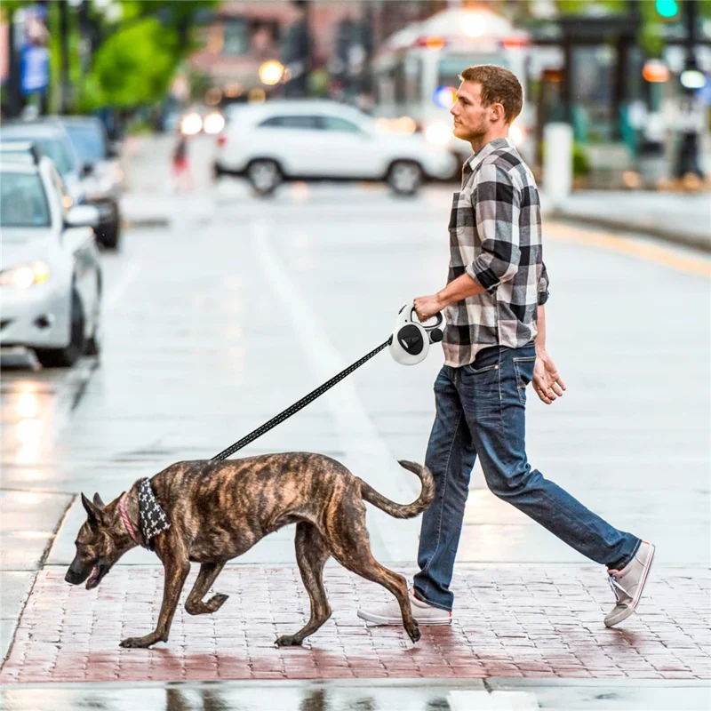 5m Auto Retractable Dog Leash with LED Light Reflective Pet Walking Lead Rope for Large Dogs Up to 50KG