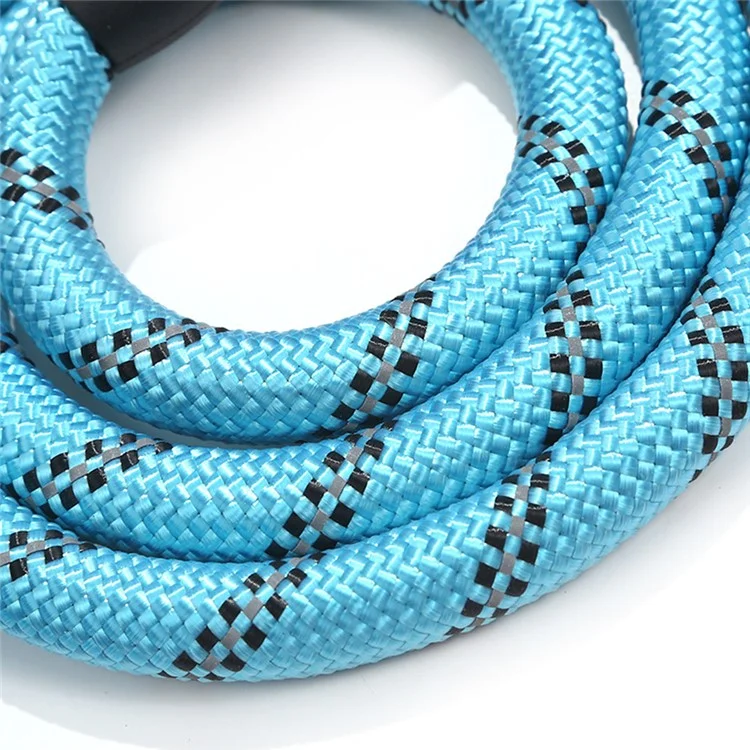 Dog Leash Dog Training Rope Dog Walking Lead Leash with Soft EVA Padded Handle and Reflective Threads - Green