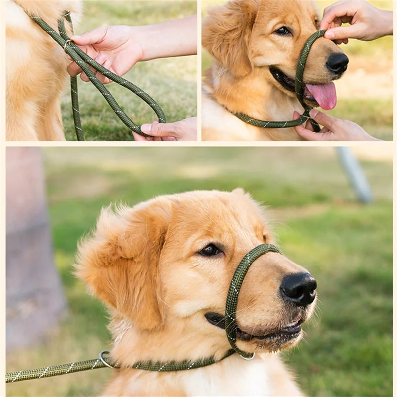 AIWO 1.7mx8mm High-Strength Knitted Dog Leash Pet Traction Rope Walking Training Lead Leash - Light Coffee Color