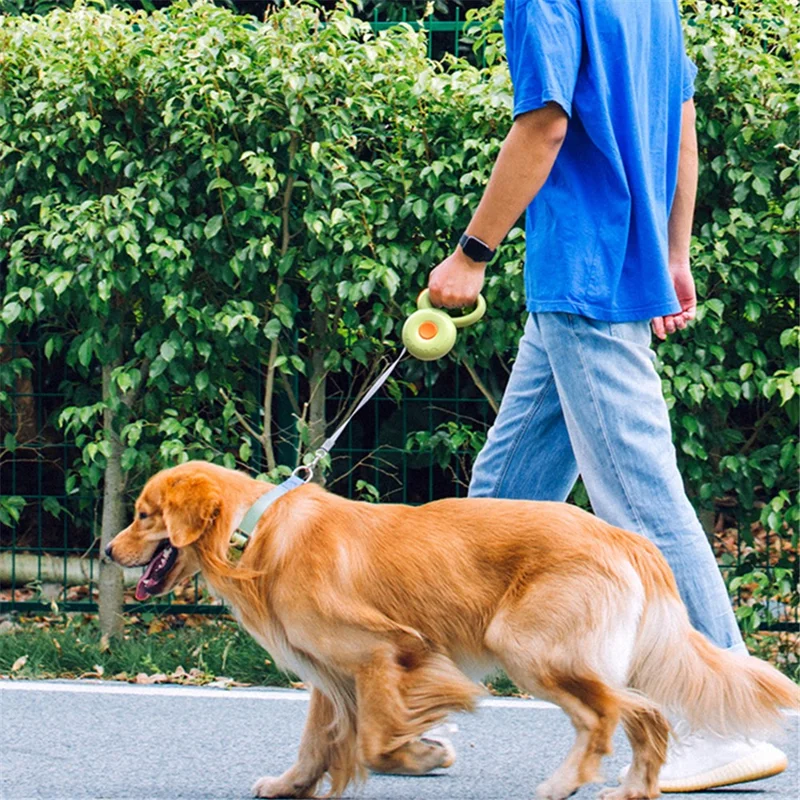 AIWO 3m Automatic Retractable Dog Leash Pet Traction Rope Dog Training Walking Lead Leash - Pink