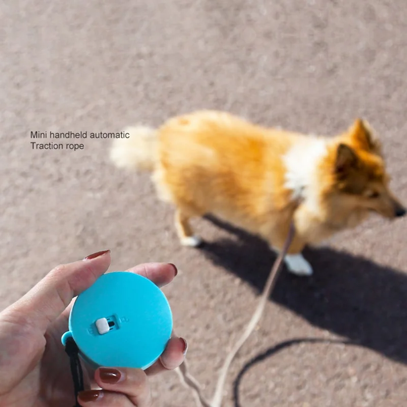 2m Retractable Dog Leash Anti-Pull Strong Nylon Tape Pet Traction Rope for Small Cats Dogs Gifts under 10kg - Square / White