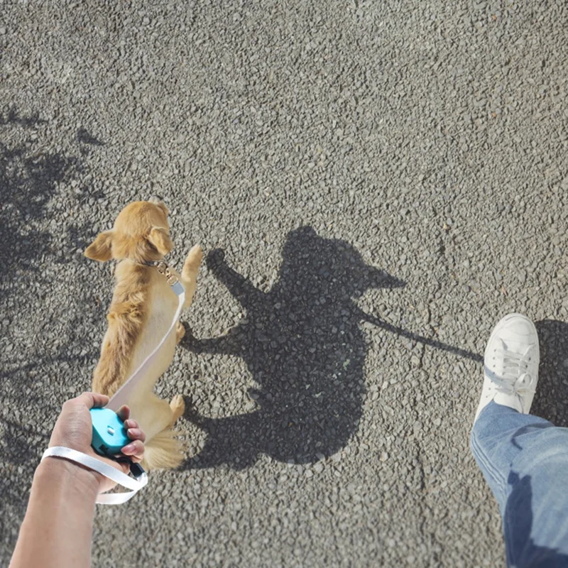 2m Retractable Dog Leash Anti-Pull Strong Nylon Tape Pet Traction Rope for Small Cats Dogs Gifts under 10kg - Square / White