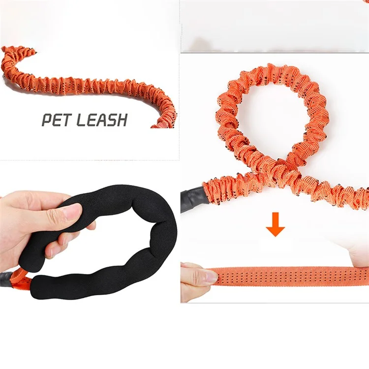 DODOPET Correa Extensible para Perros de 120 cm de Alto Estiramiento - Naranja