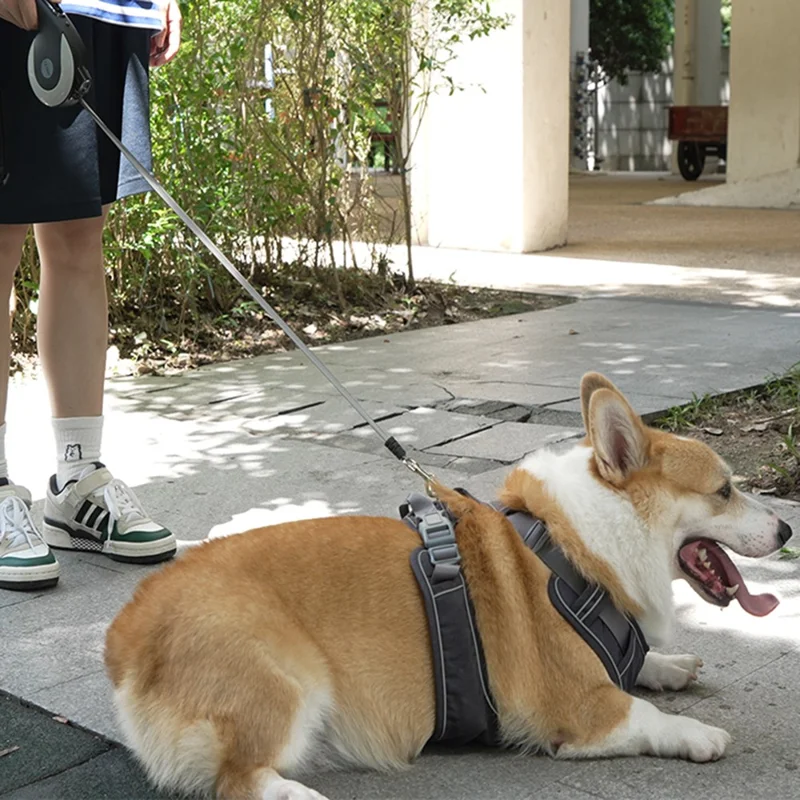 BENWIS HA-DWL-1 Retractable Pet Leash Dog Training Walking Traction Rope - White
