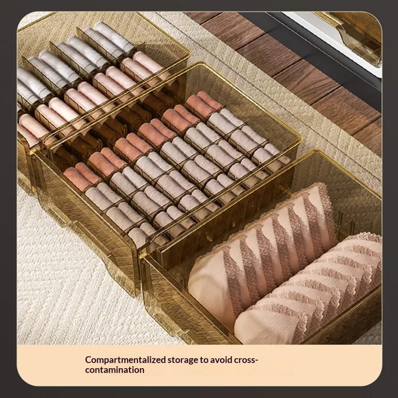 Scatola Organizzatore a 4 Strati con Cassetti, Contenitore per la Conservazione di Intimo e Calzini, Semi-trasparente e Compartimentato per la Camera da Letto