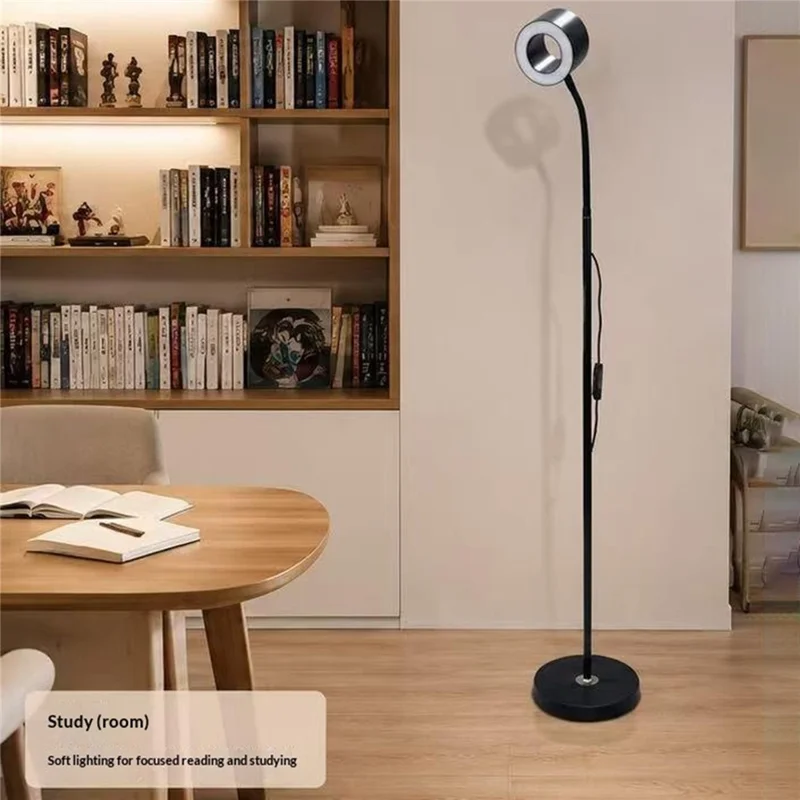 12W LED Floor Piano Lamp Flicker-Free 3 Color Temperatures Dimmable USB 5V Reading Light - Black