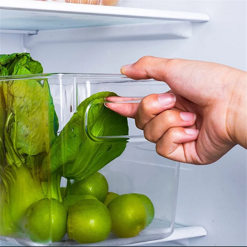 TY-9049 Transparent PET Food Organizer Refrigerator Storage Box, Size L (BPA Free, No FDA)
