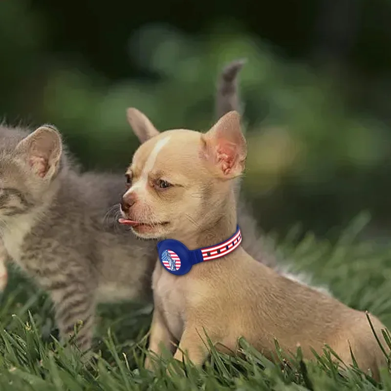 Collar de silicone para animais de estimação com caixa de proteção para rastreador Bluetooth AirTag - Ajustável - Violeta
