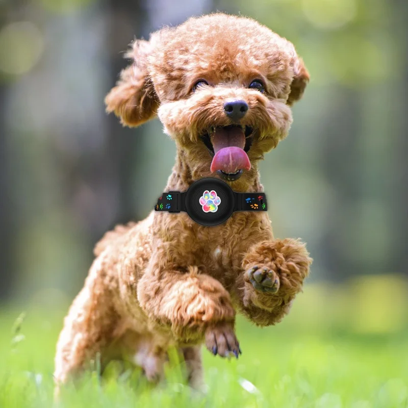 Silicone Pet Collar with Protective Case for AirTag Bluetooth-compatible Tracker Adjustable Neck Strap, with Front Back Film Set - Dog Paw