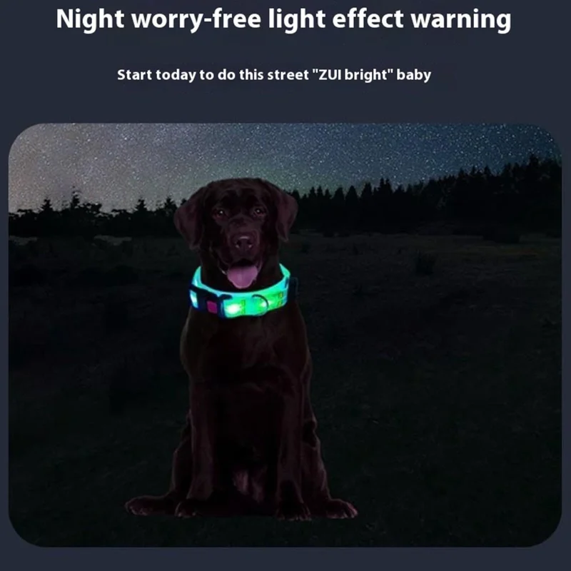 For AirTag Tracker Luminous Pet Collar Set with Silicone Case, Bell, Screen Protectors (M Size) - Orange