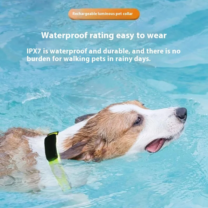 For AirTag Tracker Luminous Pet Collar Set with Silicone Case, Bell, Screen Protectors (M Size) - Orange