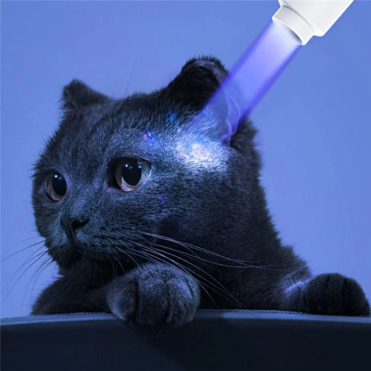 TANK007 UV340 365nm Mini UV Flashlight Pet Urine Stain Detector Ultraviolet Light Money Verification Lamp without Battery - Black