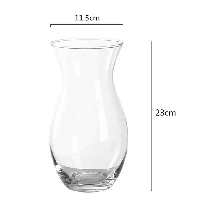 23cm High Minimalist Clear Glass Vase for Fresh Flowers Hydroponic Plants Living Room Decor