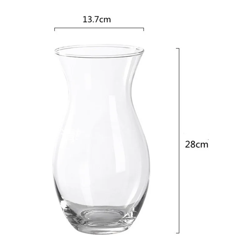 28cm High Minimalist Clear Glass Vase for Fresh Flowers Hydroponic Plants Living Room Decor
