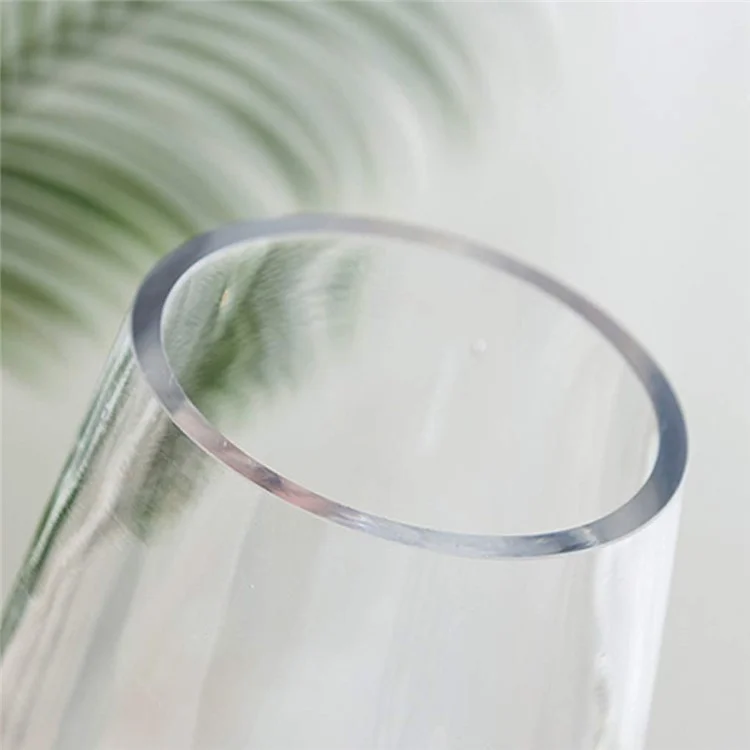 120x250mm Minimalistische Glasvase für Wohnzimmer, Schlafzimmer, Heimdekoration, Wasserpflanze, Blumenvase