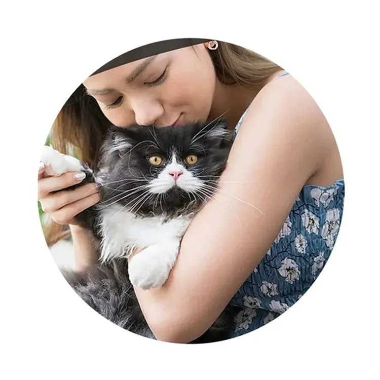 For AirTag Tracker Reflective Pet Collar Silicone Protective Case with ID Address Tag - Black
