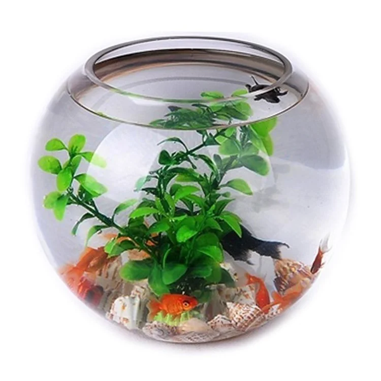 Multipurpose Glass Bowl Vase Terrarium for Plants Flowers Aquarium Fish Tank, Max Diameter: 15cm