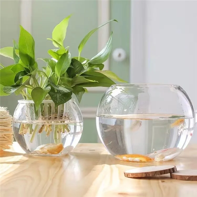 Multipurpose Glass Bowl Vase Terrarium for Plants Flowers Aquarium Fish Tank, Max Diameter: 15cm