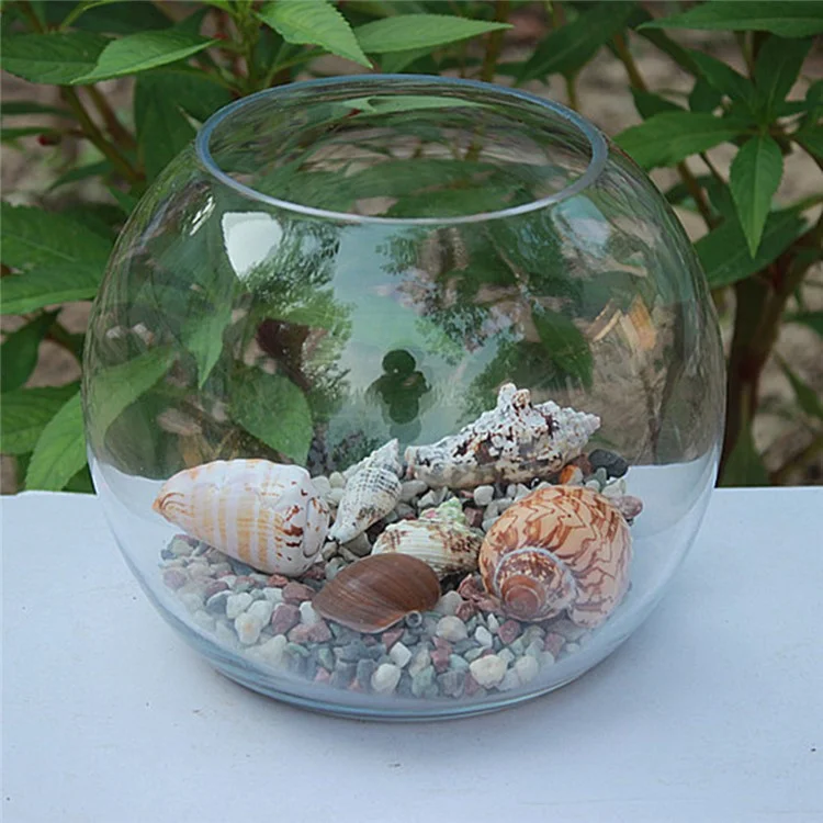 Multipurpose Glass Bowl Vase Terrarium for Plants Flowers Aquarium Fish Tank, Max Diameter: 15cm