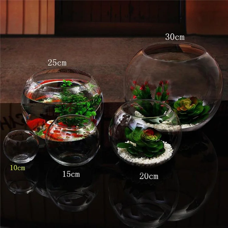 Multipurpose Glass Bowl Vase Terrarium for Plants Flowers Aquarium Fish Tank, Max Diameter: 15cm