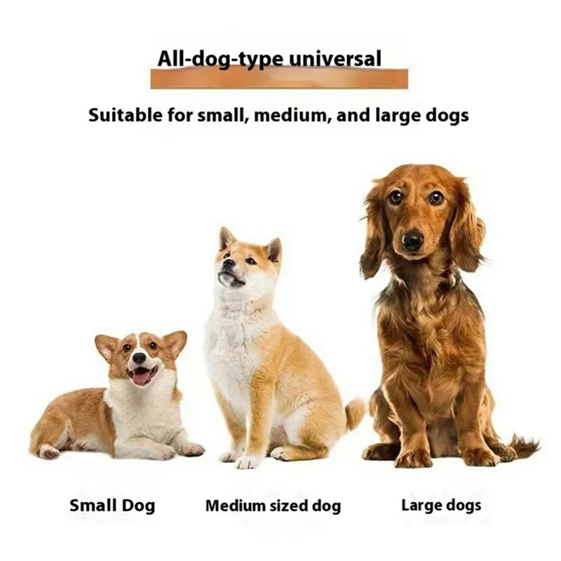 Collar de Cuero PU Reflectante para Perros con Soporte para Seguimiento AirTag, Talla: XL - Negro