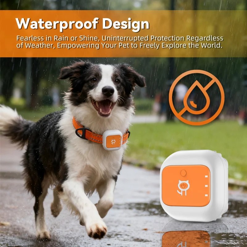 G01 Waterproof Smart Pet Tracker WiFi+GPS Positioning Anti-Lost Collar for Cats Dogs, Eurasian Version - Orange S