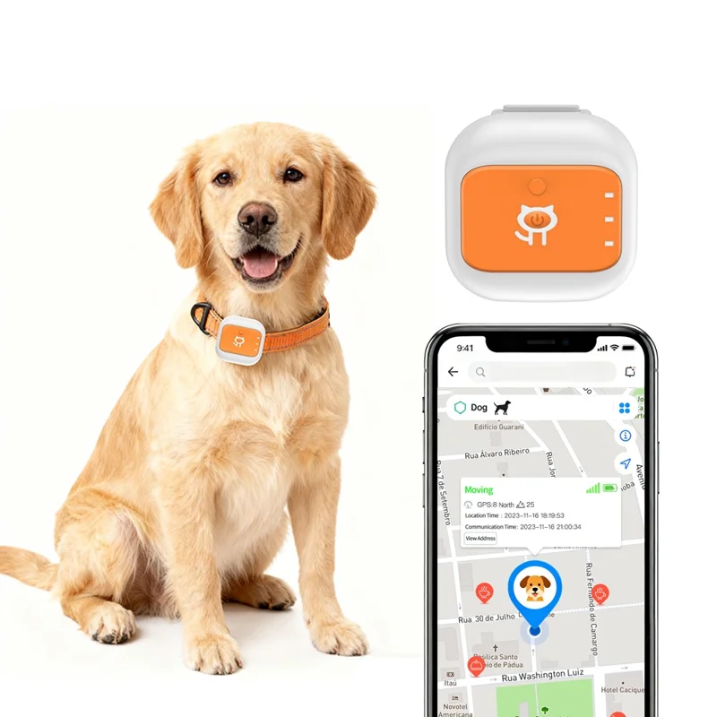 G01 Waterproof Smart Pet Tracker WiFi+GPS Positioning Anti-Lost Collar for Cats Dogs, Eurasian Version - Orange S