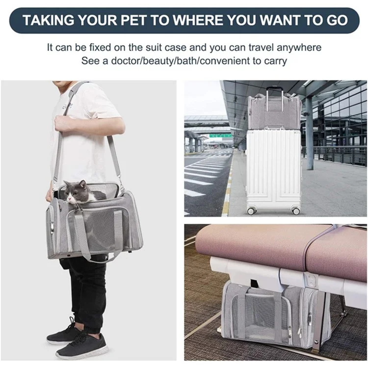 Cat Dog Carrier Pour Animaux de Compagnie Dans un Porte-chiot de Voyage Approuvé Par la Compagnie Aérienne Approuvée Par la Compagnie Aérienne, Taille: S (40x25x25cm) - Gris