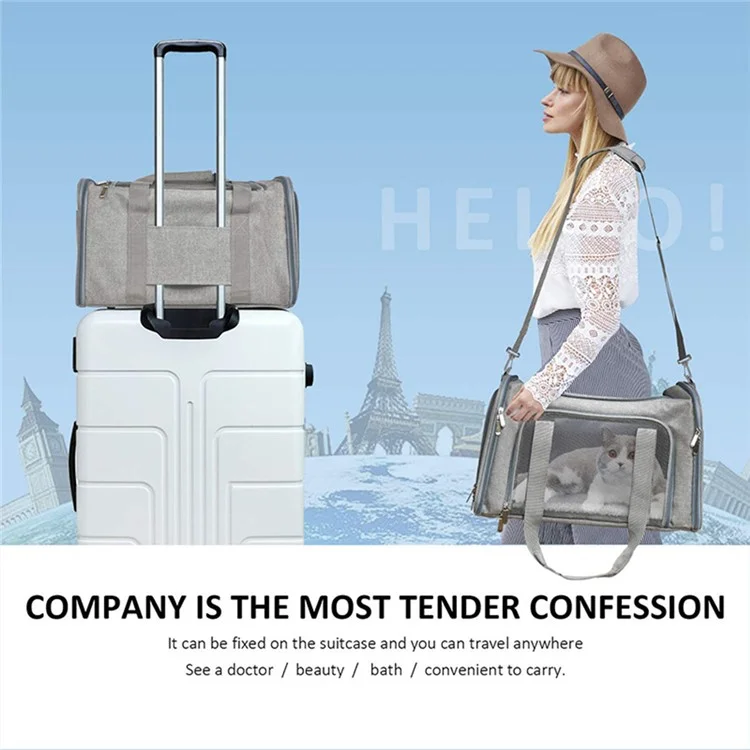 Cat Dog Carrier Pour Animaux de Compagnie Dans un Porte-chiot de Voyage Approuvé Par la Compagnie Aérienne Approuvée Par la Compagnie Aérienne, Taille: S (40x25x25cm) - Gris