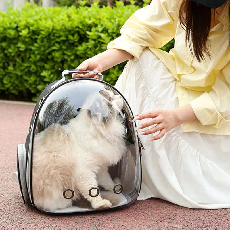 Sac à dos transport pour chat en tissu Oxford, sac à dos transparent pour animaux domestiques avec 9 trous de ventilation, sac à bandoulière double respirant - Bleu roi