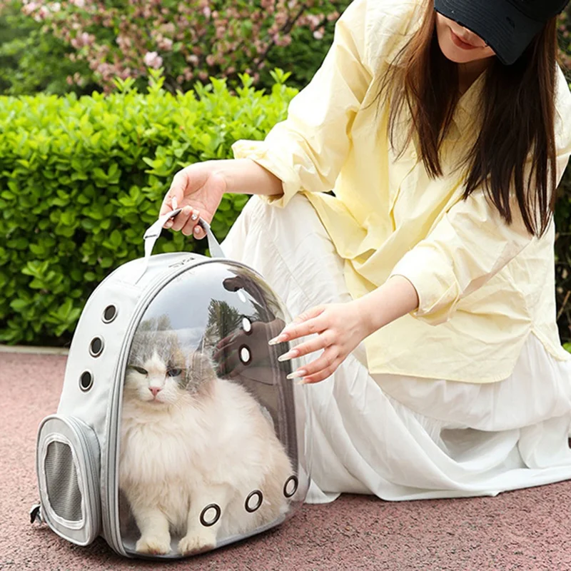 Mochila Transportadora para Gatos em Tecido Oxford Mochila Transparente para Animais de Estimação com 9 Orifícios de Ventilação Mochila de Ombro Duplo Respirável - Verde