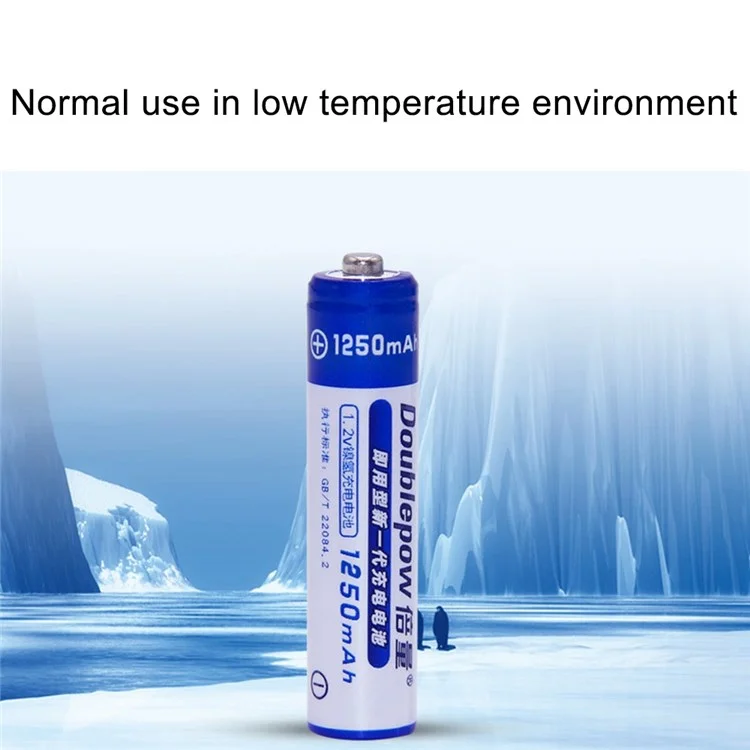 DOUBLEPOW AAA1250mAh 4Pcs 1.2V 1250mAh AAA Ni-MH Battery Remote Control Electronic Toy Rechargeable Battery with Storage Box