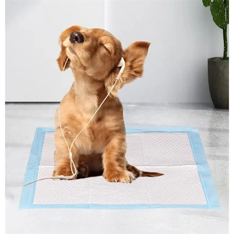 i Pannolini Per Cani da Compagnia Addensano Forti Cuscinetti Per Animali Domestici Che Assorbono L'acqua - Dimensioni S / 100pcs