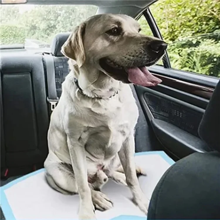 i Pannolini Per Cani da Compagnia Addensano Forti Cuscinetti Per Animali Domestici Che Assorbono L'acqua - Dimensioni S / 100pcs