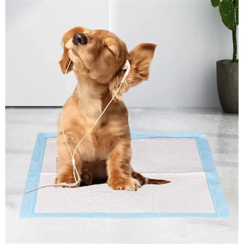 Pet Dog Diapers Thicken Strong Water-Absorbing Deodorizing Disposable Pet Pee Pad - Size XL / 20Pcs