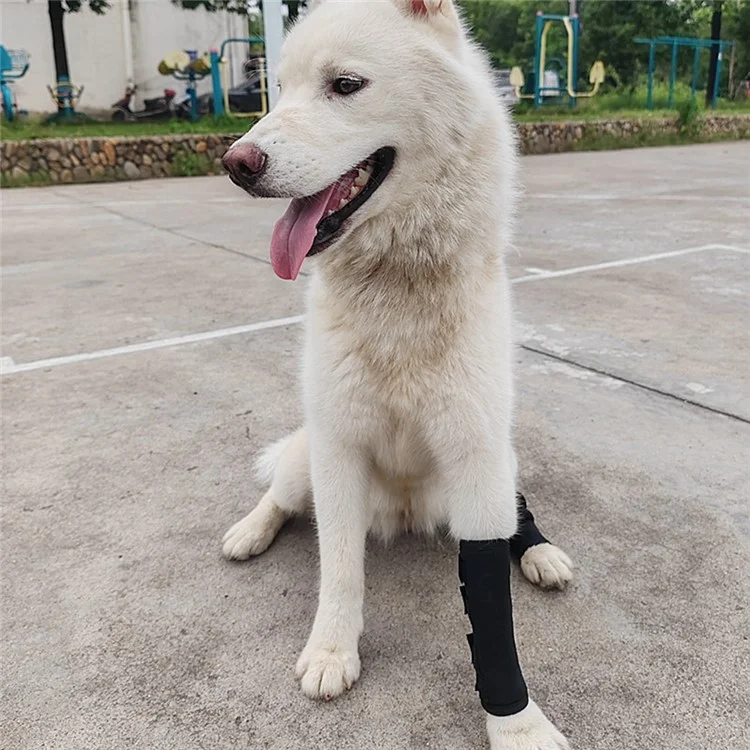 1Pc Pain Relief Dog Leg Joint Fracture Fixed Brace Injury Recovery Protector Support - M