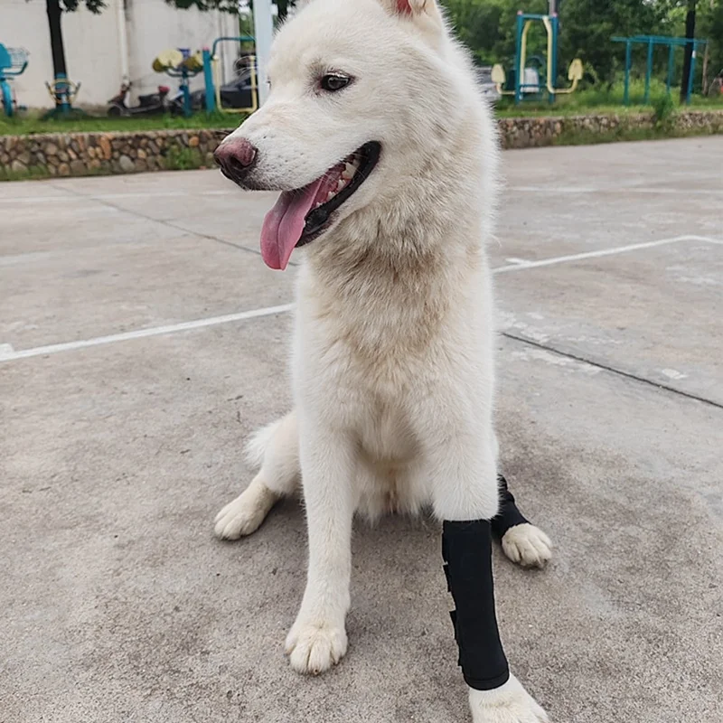 1Pc Pain Relief Dog Leg Joint Fracture Fixed Brace Injury Recovery Protector Support - XL