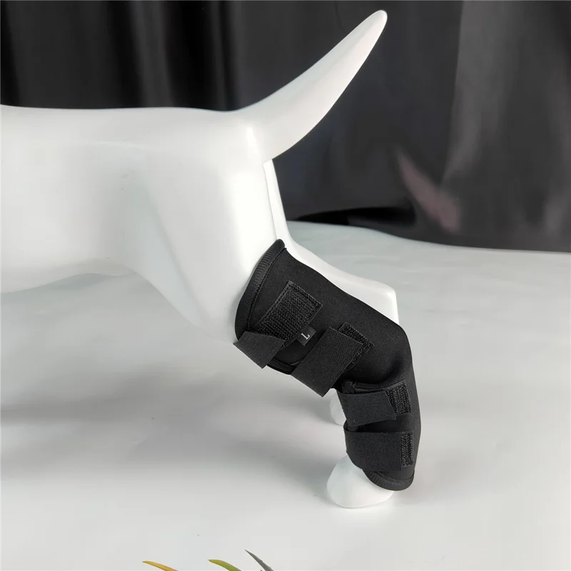 1Pc Pain Relief Dog Leg Joint Fracture Fixed Brace Injury Recovery Protector Support - XL