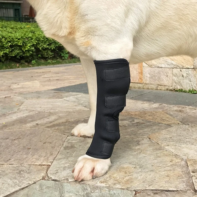 1Pc Pain Relief Dog Leg Joint Fracture Fixed Brace Injury Recovery Protector Support - XL